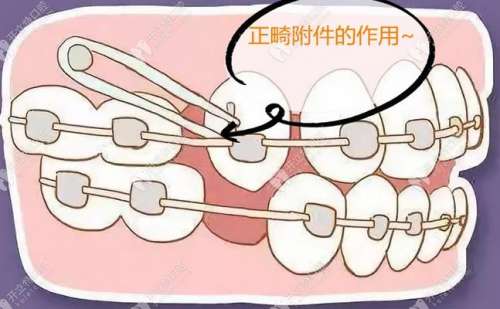 360截图20230802173808211.jpg